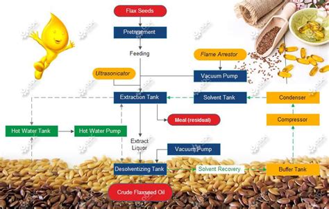  Flaxseed Oil:  추출 과정과 그 활용에 대한 심층 분석!